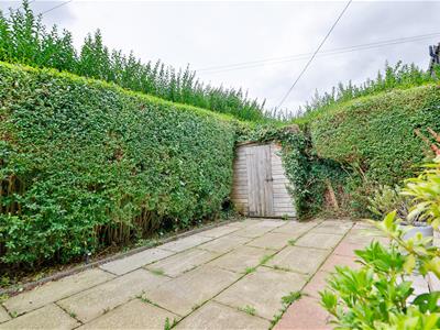 Picture 16